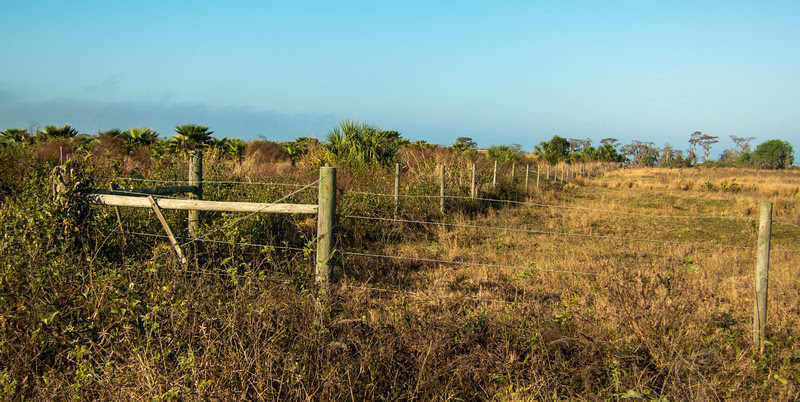 Photo & Video Sharing by SmugMug Photo & Video Sharing by SmugMug