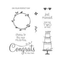 Your Perfect Day Clear Stamp Set