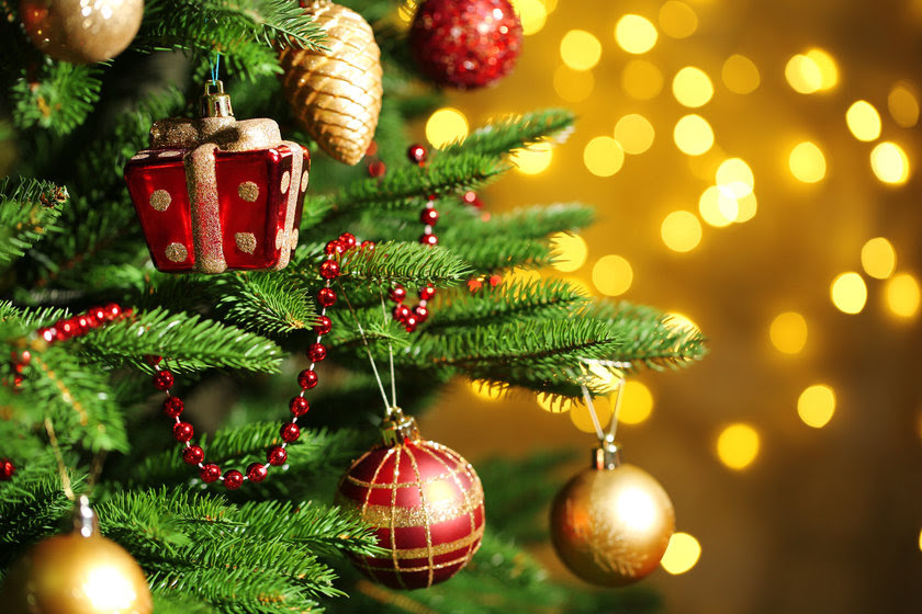 Resultado de imagem para Natal