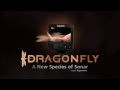 Raymarine Dragonfly 4 y 5 PRO