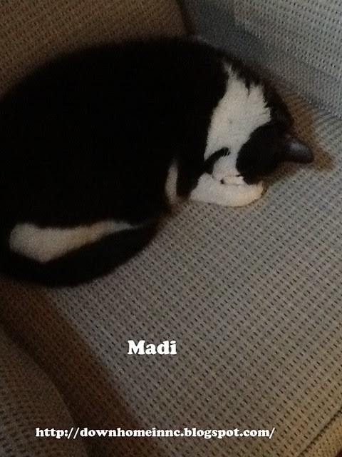 Madi Competitive Napping