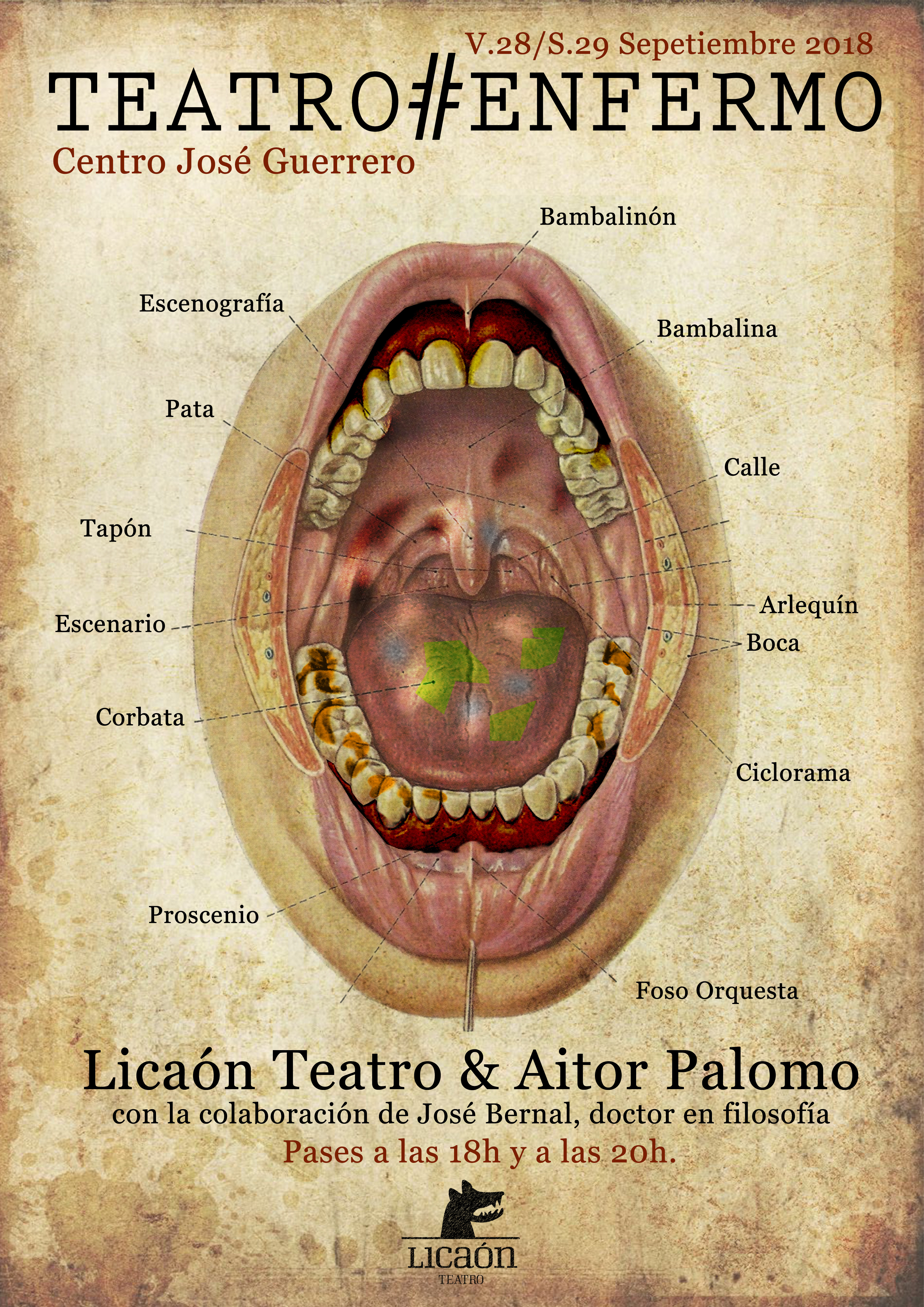 Anatomy Of The Back Of The Throat - slideshare