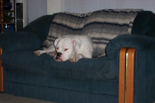 krypto_may0002