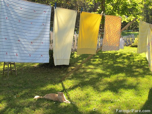 Under the laundry line (2) - FarmgirlFare.com
