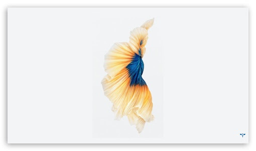 Trends For Ultra Hd Iphone 6s Wallpaper 4k Images