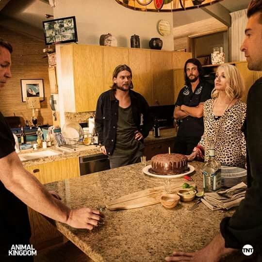 Who Is Renn On Animal Kingdom - QANIML