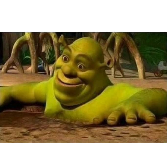 shrek-face-meme-template-bhe