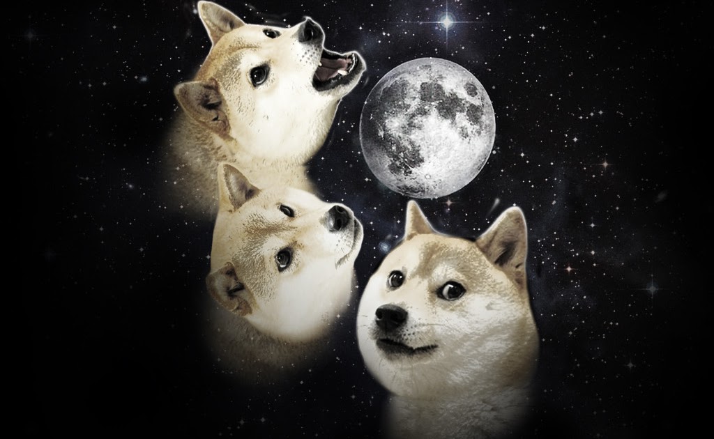 Doge To The Moon / DOGE China take Dogecoin to the moon - YouTube ...