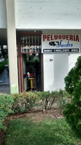 Peluqueria Sandro
