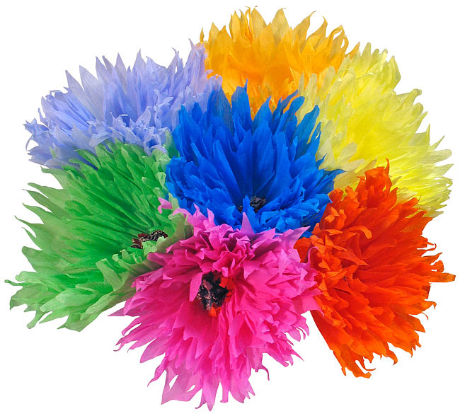 flores