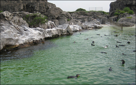 葛西臨海水族園
