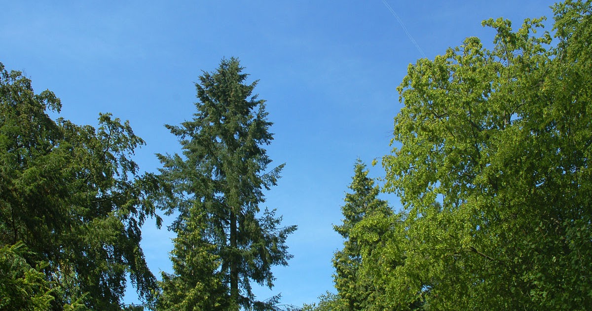 forstbotanischer garten eberswalde teamintrainingwnc
