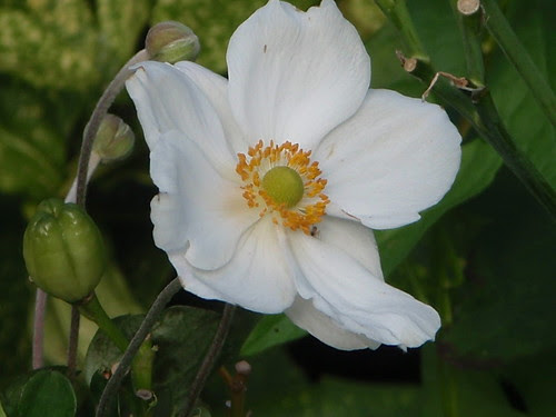 Sommerferien 958