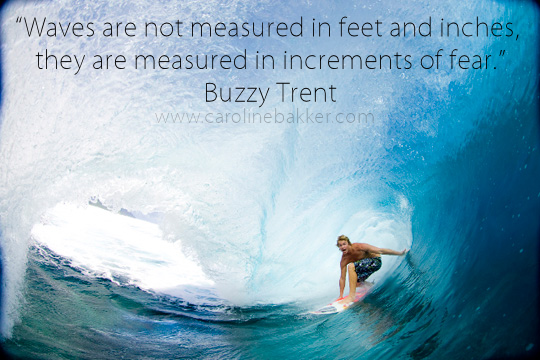 Surfs Up Quote - Surfer Lingo Quotes. QuotesGram : Recent sayings by