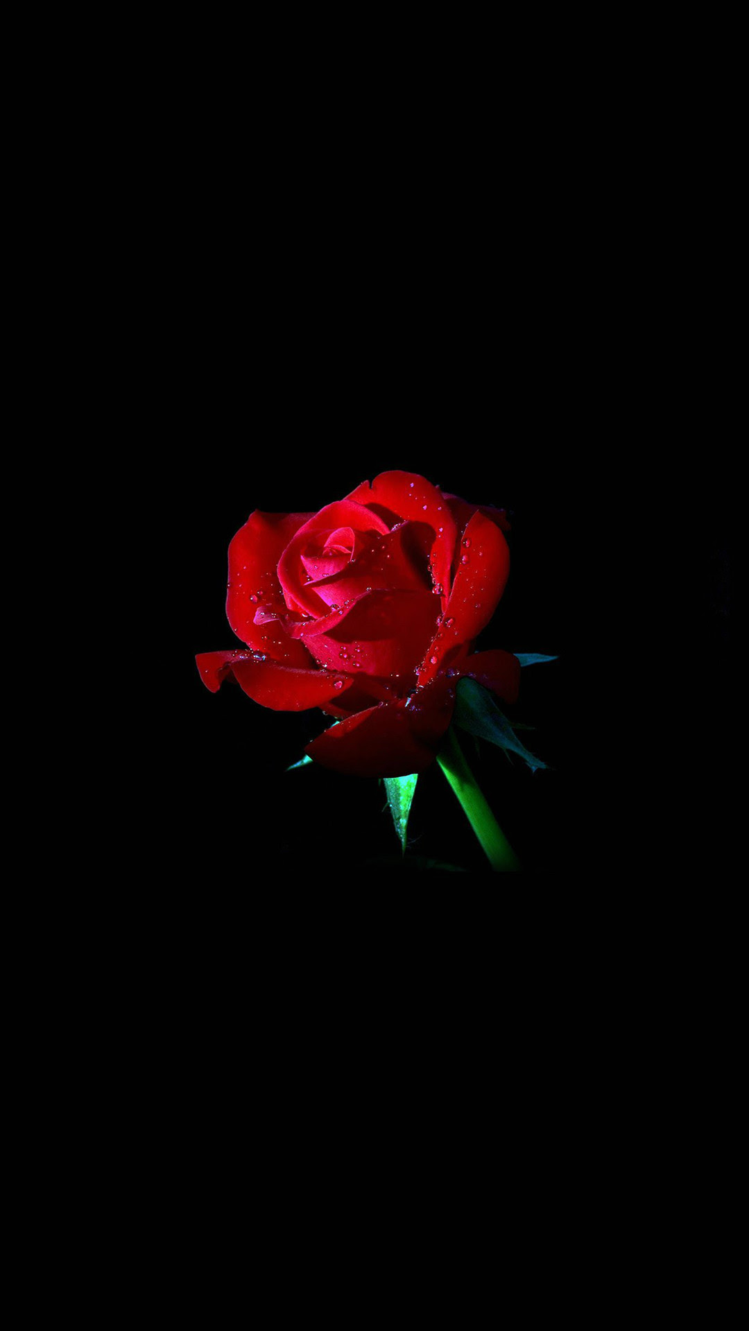 Featured image of post Iphone 7 Sfondi Rose