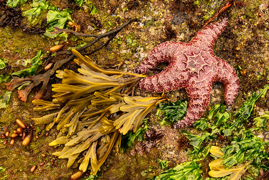 http://www.boredpanda.com/blog/wp-content/uploads/2014/09/american-nature-photography-exhibit-wilderness-forever-smithsonian-6.jpg