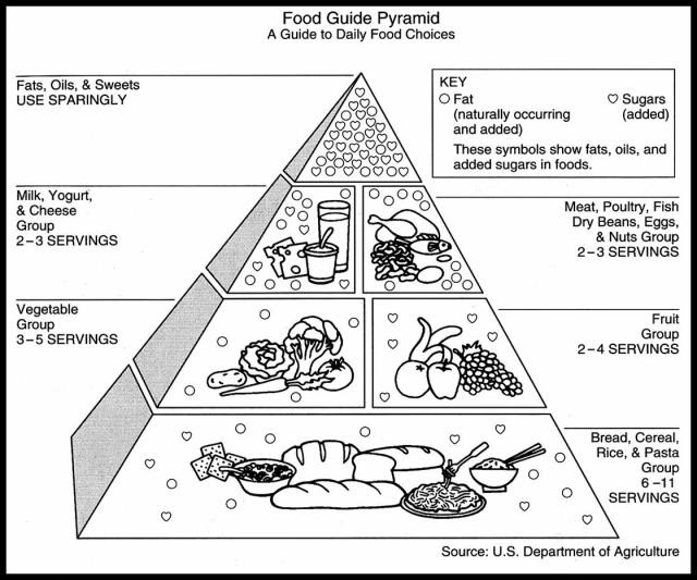 Gambar Piramid Makanan Seimbang - Piramid makanan bermula apabila