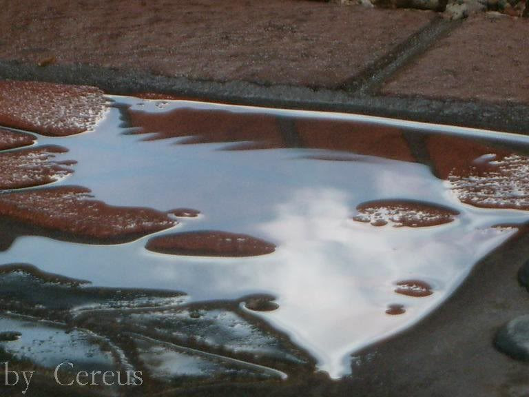 reflection of sky in a little puddle