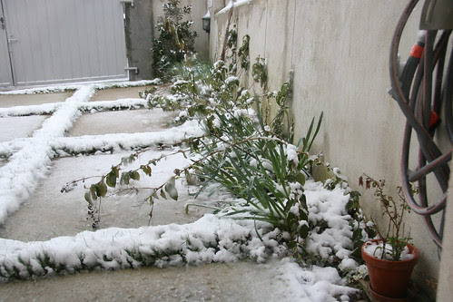 SNOW!
