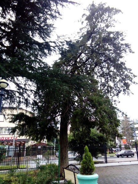 ар032 ар032