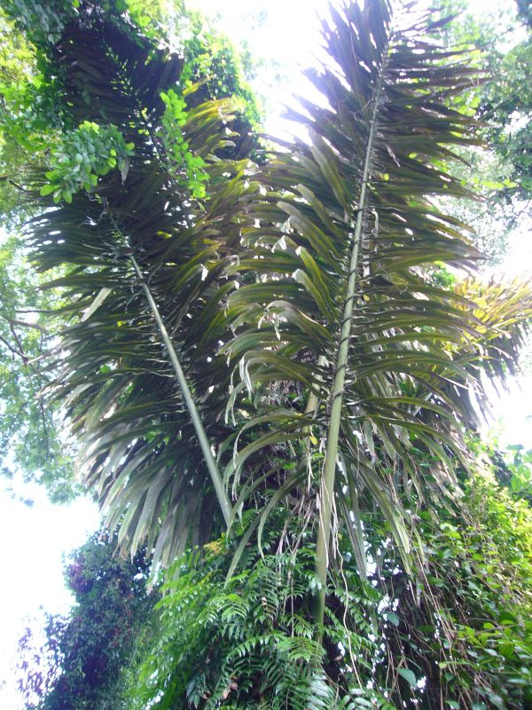 P1070114