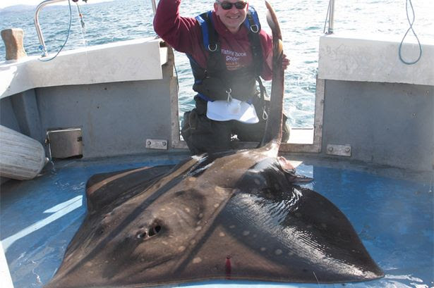 David Griffiths with his record-breaking 235lb monster skate