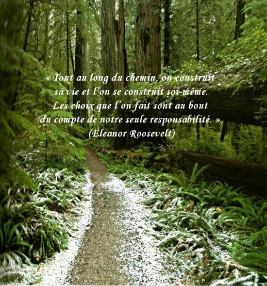 [56] Citation Chemin