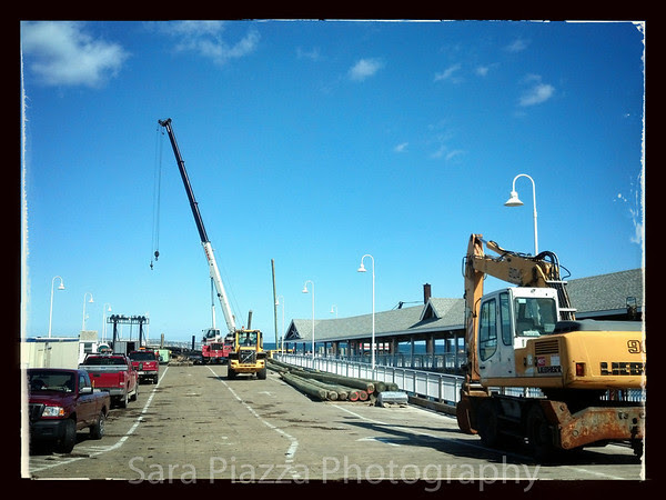 Snapseed photos, Edgartown News, phone photos,