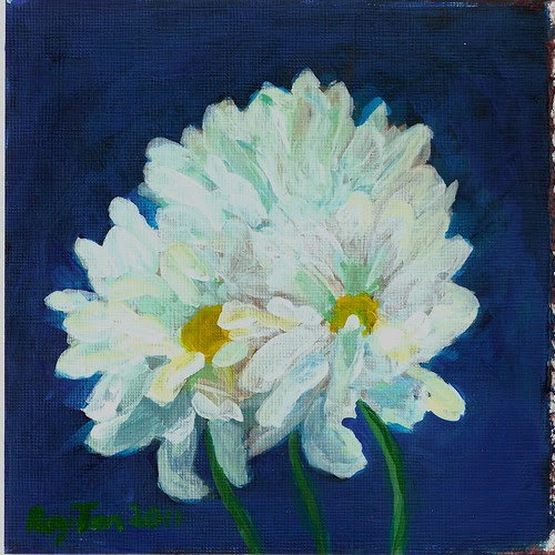 Chrysanthemums