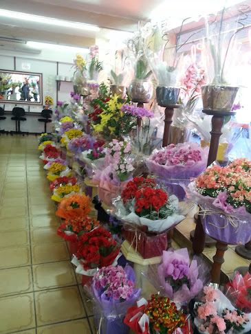 Colômbia Flora Ltda - São Paulo