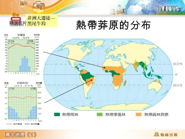 非洲大遷徒—
黑尾牛羚
熱帶莽原的分布