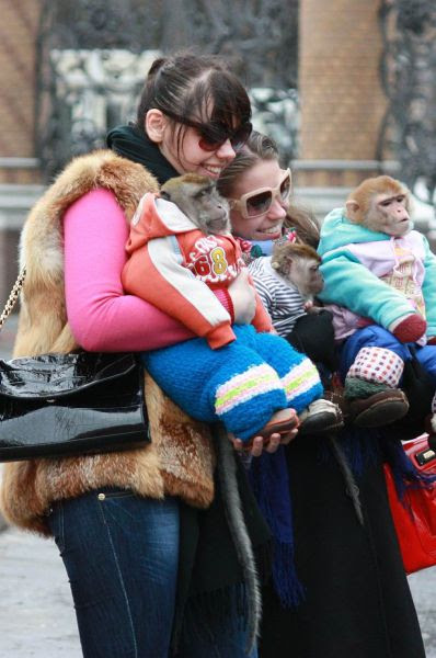 Monkey baby