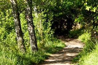 Camí del naixement del riu Pitarque