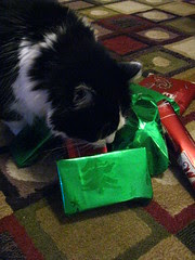 Josie investigating the gifts