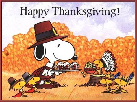 snoopy thanksgiving pictures   images