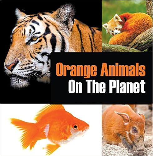  Orange Animals On The Planet: Animal Encyclopedia for Kids (Colorful Animals on the Planet Book 3) 