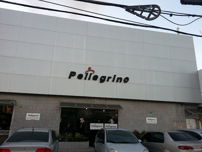 Avaliações sobre Pellegrino Distribuidora de Autopeças - Recife em Recife - Oficina mecânica