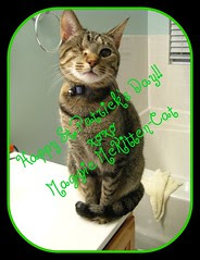 Maggie - St.Patrick's Day