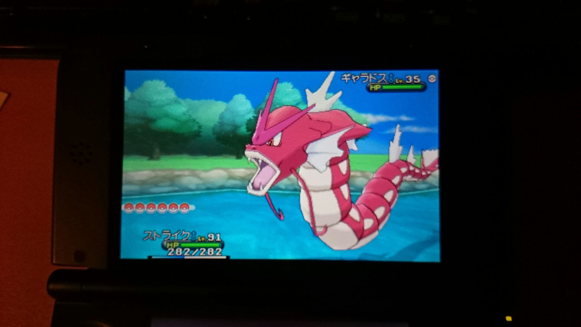 ポケモン Xy ギャラドス イメージポケモンコレクション