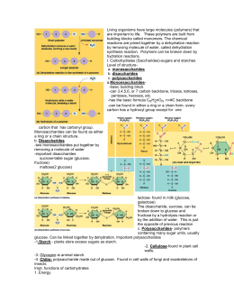34 Chemistry Of Carbohydrates Worksheet Answers - Worksheet Database Source