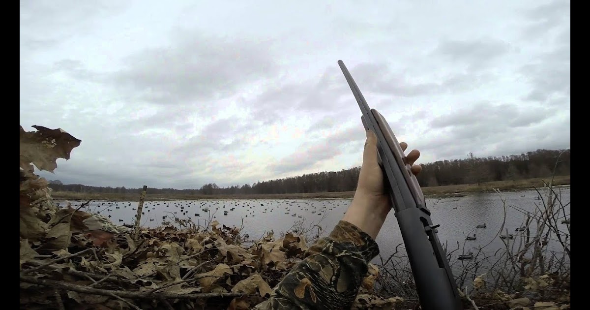 Arkansas Waterfowl Report