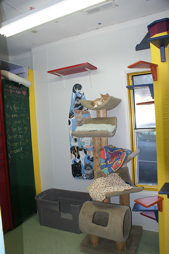 Kitty Campus Room 3