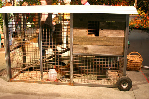 chicken_coop