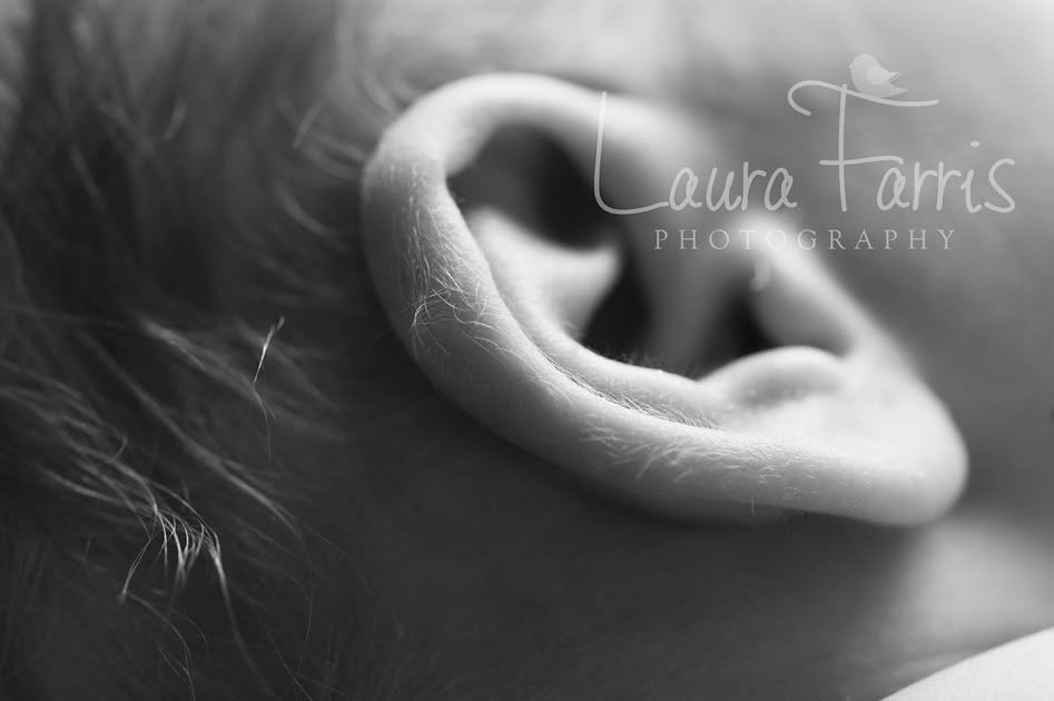 newborn photography boise