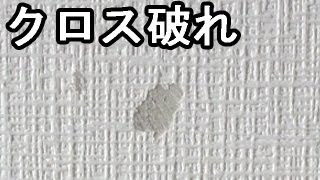 コレクション 壁紙 ひっかき傷 補修 壁紙 ひっかき傷 補修 百均