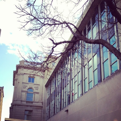 20120309-060010.jpg