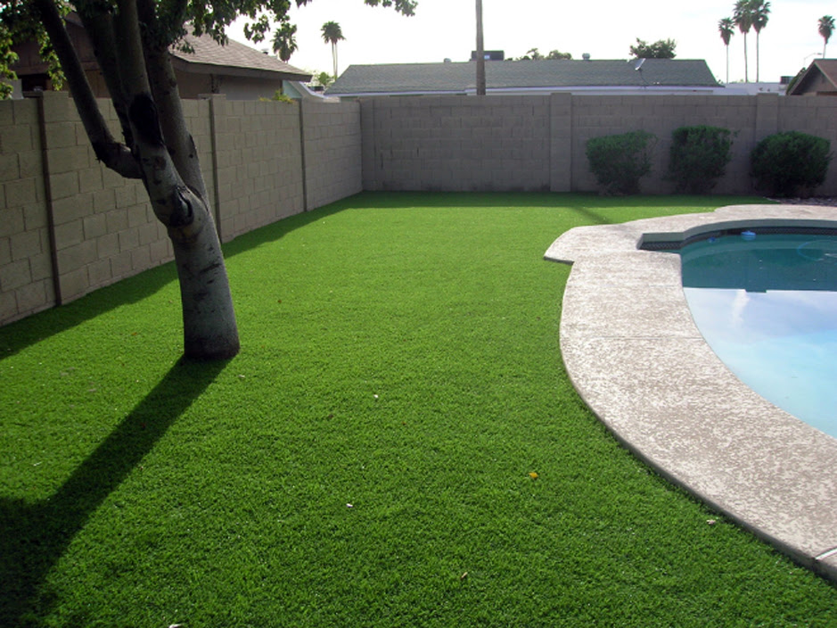Artificial Lawn Holly Hill Florida Home And Garden Small Backyard Ideas