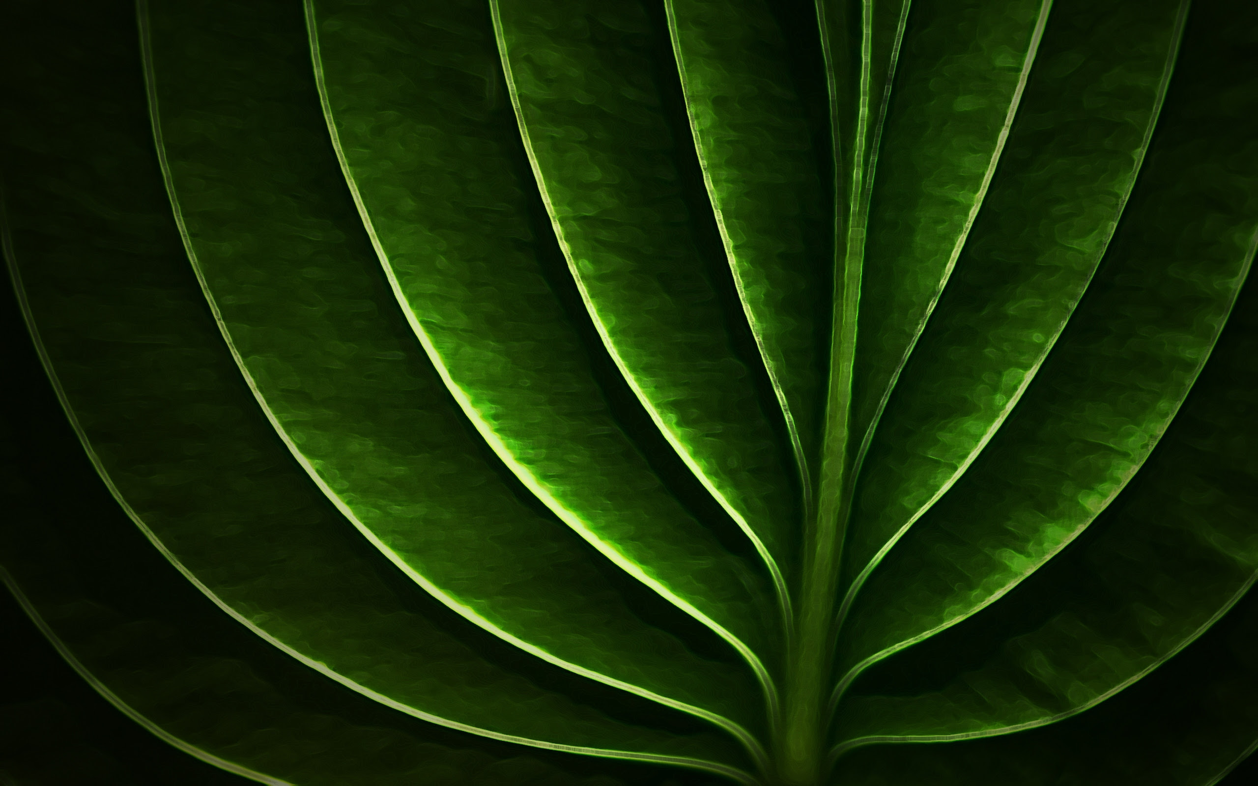 Neon leaf wallpapers and images - wallpapers, pictures, photos