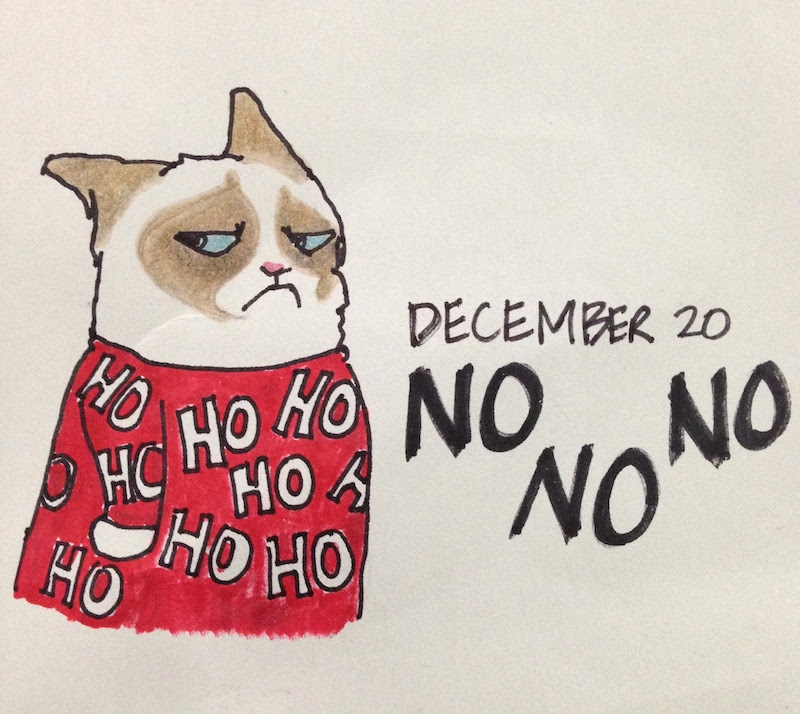 Grumpy Cat in Holiday Sweater, Santa, hohoho
