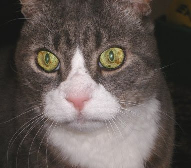 LB's Sweet Face